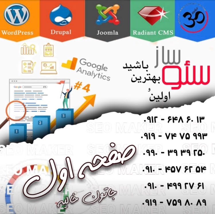 مینا اصغرپور