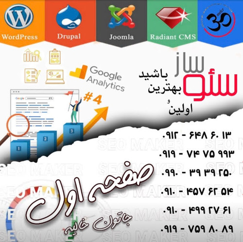 مینا اصغرپور