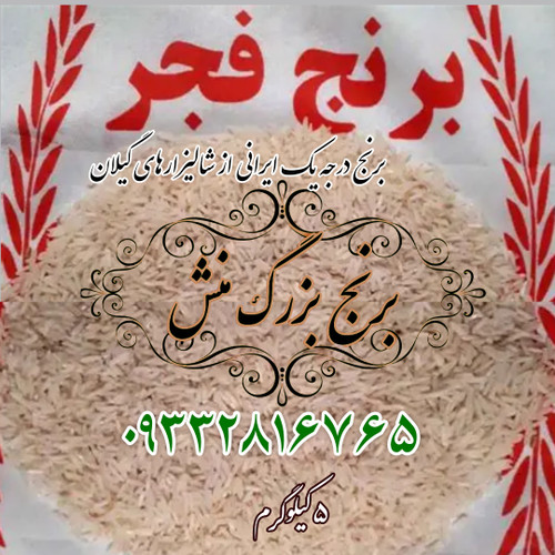 برنج ایرانی,برنج هاشمی,خرید برنج,خرید برنج ارزان,خرید برنج ایرانی ارزان,خرید برنج هاشمی ارزان,برنج ۵ کیلویی هاشمی,خرید برنج ۵ کیلویی هاشمی,برنج هاشمی,